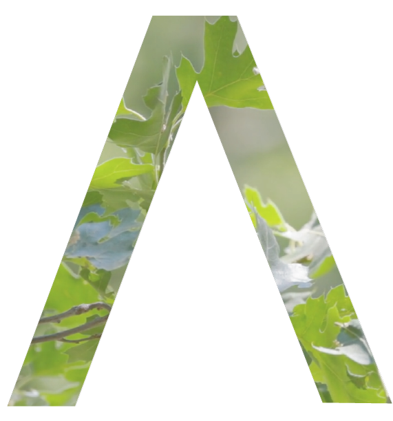 Lettre A pour Abstraction