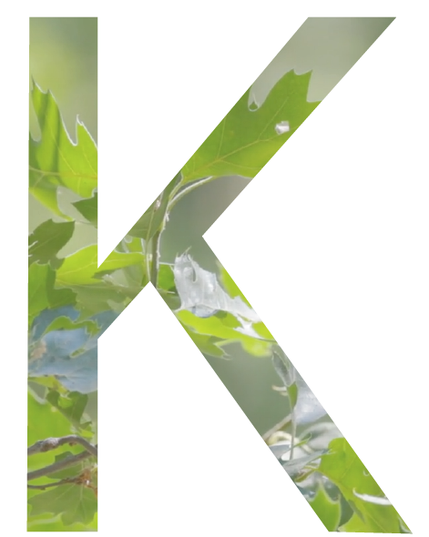 Lettre K pour Know-how